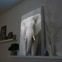 Lesen LED Bilder Bewertungen